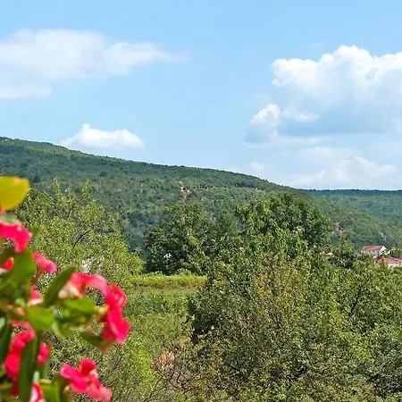 Apartman Apartman Vasilj Mi *